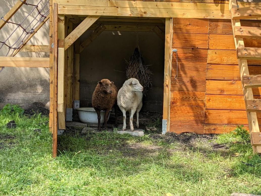 Lauta Helenes Ferienwohnung Auf Dem Bauernhof - Lausitzer Seenland מראה חיצוני תמונה